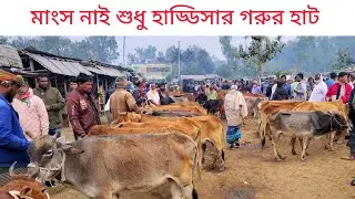 মাংস নাই শুধু হাড্ডিসার গরুর দাম  | আমবাড়ি দিনাজপুর | 