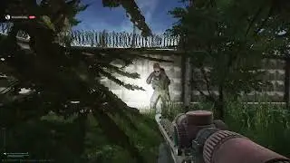 PVE Tarkov Partisan Caught