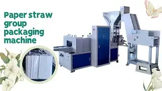 straw Multiple  packing machine 8mm straw length 150mm  per pack 150 pieces