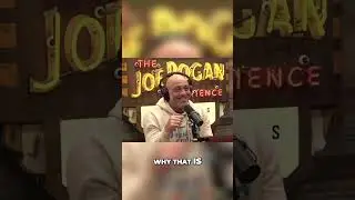 Jiu-Jitsu's Wild Side: Freak Accidents, Genius Minds, & Libertarianism!