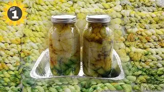 Layering Dyes in Mason Jars for Sunflower Yarn! 