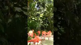 Шкарет Плюс &mdash; стоит ли раскошелиться?