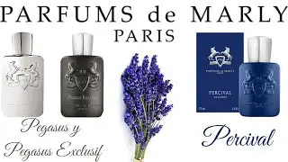 PARFUMS DE MARLY PERCIVAL y PEGASUS y P. EXCLUSIF y LIFE STYLE y Meditaciones Adviento