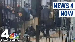 News 4 Now: Proud Boys Arrested After NYC Fight; Man Accused of Threatening Senators Over Kavanaugh