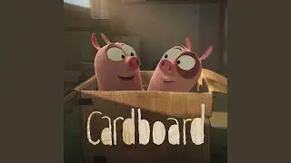 Cardboard