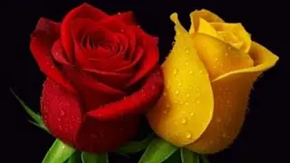aap Sabhi logon ka Swagat hai meri life mein please like ko