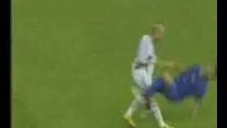 Materazzi &egrave; caduto