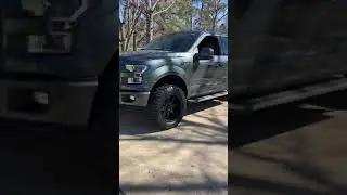 Leveled 2015 F150 Guard Metallic