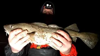 Cod Fishing at Rossall Beach , Cleveleys - 22/12/22