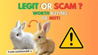 Bunby Realistic Bunny Toy Review - Does It Really Work Or Scam?