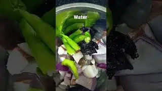 Coconut Chutney - Nadia Chatani Village Style Recipe #youtubeshorts #viral #shorts #loveoffood #odia