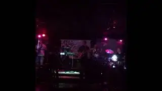 Pride and Joy - The Lionfish Cover LIVE