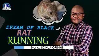 Dream About Black Rat Running - Biblical Meaning and Symbolism
