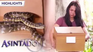 Samantha sends Ana a snake | Asintado