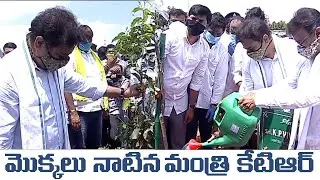 Minister KTR Participates In 6th Phase of Haritha Haram | KTR in Public | KTR at Haritha Haram