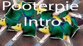 PEWDIEPIE intro Competition