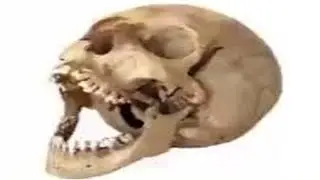 Spoop Myth Man