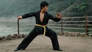Martial Arts Secrets Bruce Lee Would Use Against Power Rangers
