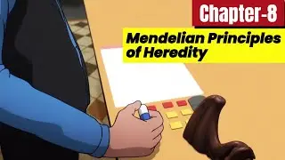 Mendelian Principles of Heredity: Genetics Basics | Class 10 Biology