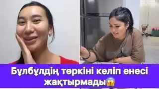 Бұлбұлдің төркіні келіп енесі жақтырмады😱