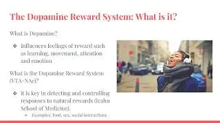 The Dopamine Reward System