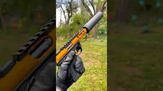 Gold Ruger Mark IV with R45 silencer