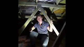 How to tell if it's a rat, or a possum in your roof at night.