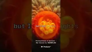 Photosynthesis & Opinions - New Version/nerdcore trap hip-hop, alt rap with heavy 808s,.