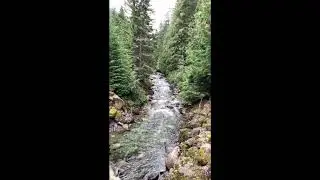 Relaxing River sounds -40 mins long - nature video