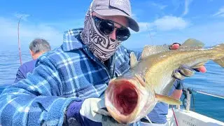 Wreck Fishing Aboard Silver Halo Charters Torquay