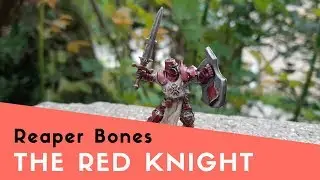 Reaper Miniatures: Crusader Champion