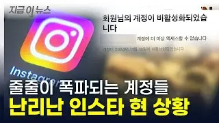 난리 난 인스타그램 현 상황 