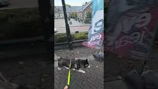 Middelharnis deel 3