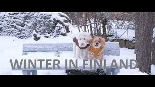 Winter in Finland 2023