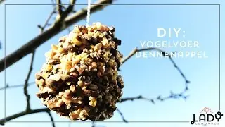 DIY: Vogelvoer dennenappel maken met kinderen