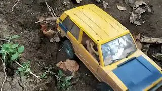 Mini RC Range Rover: Off-Road Fun in a Small Car!