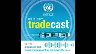 Drowning in debt: How developing countries can survive the crisis