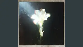 Light That Leads Me