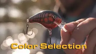 Crankbait Color Selection with Drew Benton