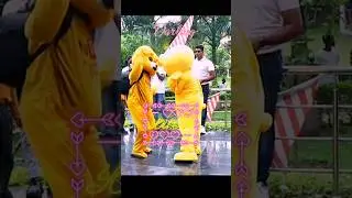 Love you 😘🥰#teddy #teddylove #shorts #foryou #funnyshorts #lovestatus #mrcrezy #sdteddy #utubeshort