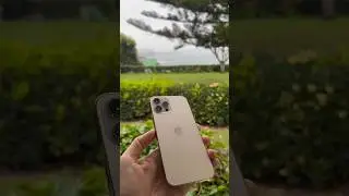 Mejor iPhone Barato 2024 // iPhone 12 Pro Max #apple #iphone12promax #iphonebarato #bestiphone #2024