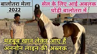 बालोतरा मेले मैं महबूब भाई लेकर आए हैं अननोन लाइन की अबलक बच्ची मेले मैं ! Balotra Mela 2022