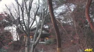 삼청각 풍경 스케치 SamcheongGak Spotting 4K