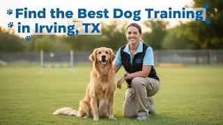 Find the Best Dog Training in Irving   TX Texas