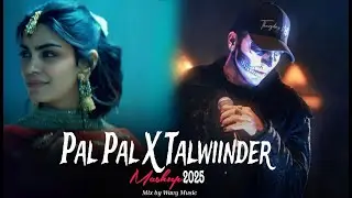 Pal Pal X Talwiinder Mega Mashup 2025 | Afusic | Talha Anjum X Haseen X Pal Pal X Khayaal X Jaqeen