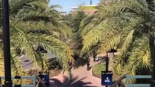 Walk through Disney Springs