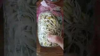 #brotescomestibles#f&aacute;cil#barato#sprouts#groddar#l&auml;tt#billigt#easy#cheap #saludable