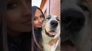 НИКОГДА НЕ ЗАВОДИ АЛАБАЯ, ЕСЛИ&hellip;