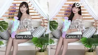 Sony A7S III vs Canon EOS R5 - 1080p Test