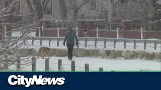 Important tips for surviving Calgary&rsquo;s cold
